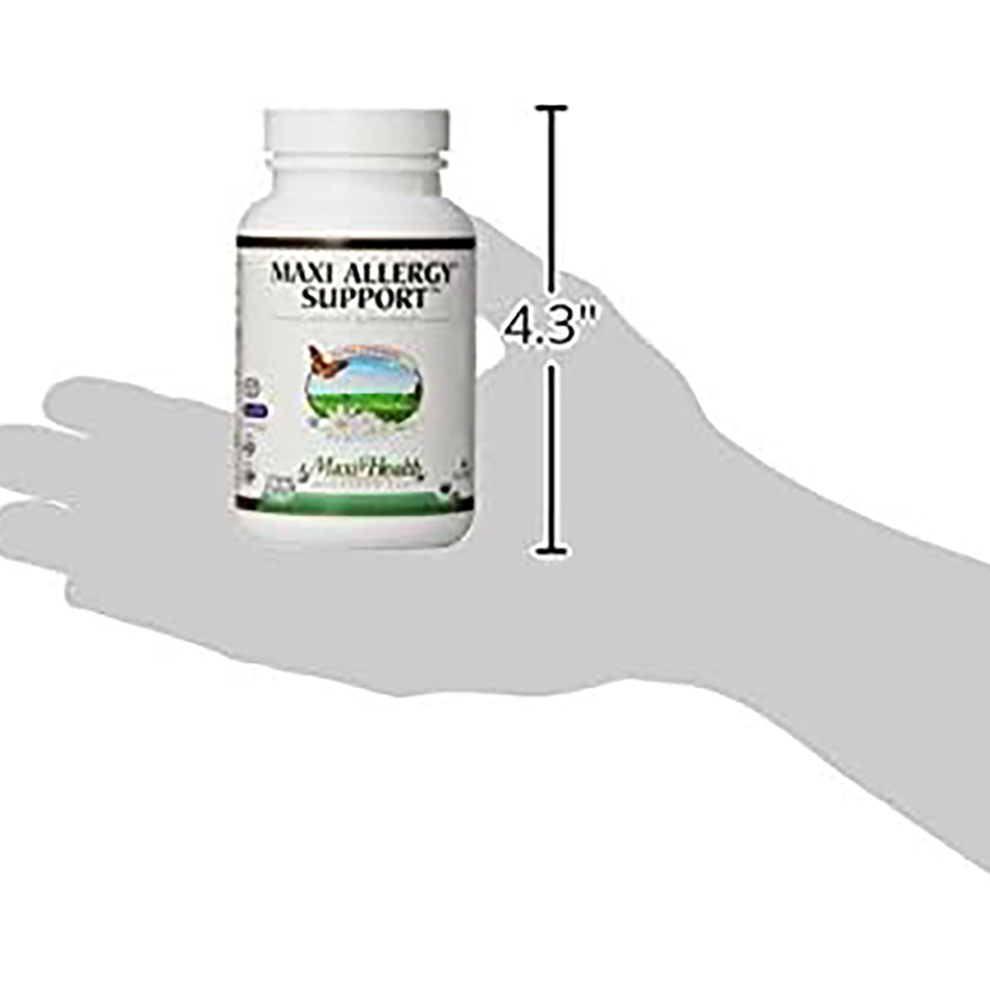 Allergy Support, 90 Caps