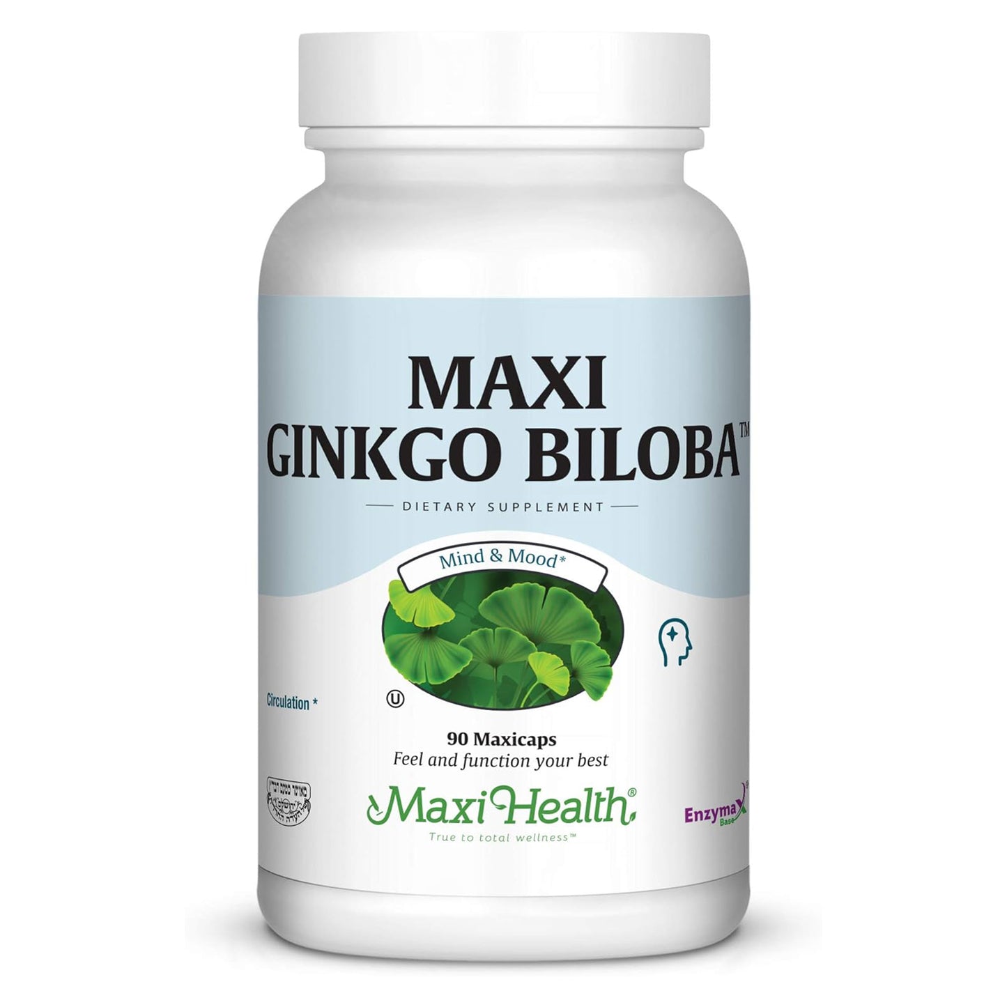 Ginkgo Biloba, 90 Caps