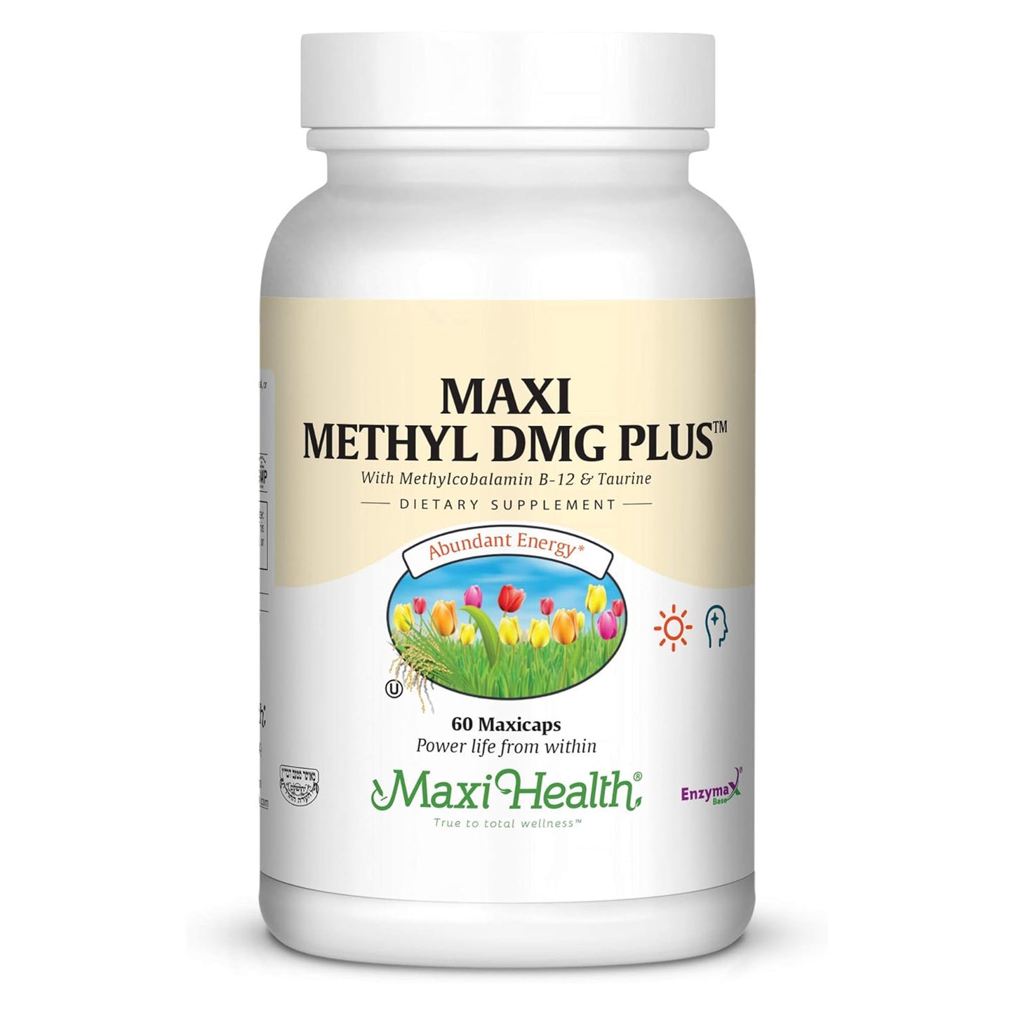 Methyl Dmg Plus, 60 Caps