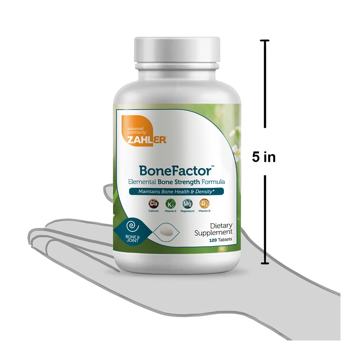 BoneFactor (120) Tablets